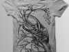 atlas-beetle