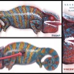 Rainbow Chameleon 1 Rainbow Chameleon 1