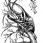 beetle-onbranch-vfink beetle-onbranch-vfink