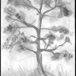 tree tree