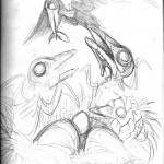 nest copy