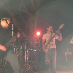 Human Zoo Live