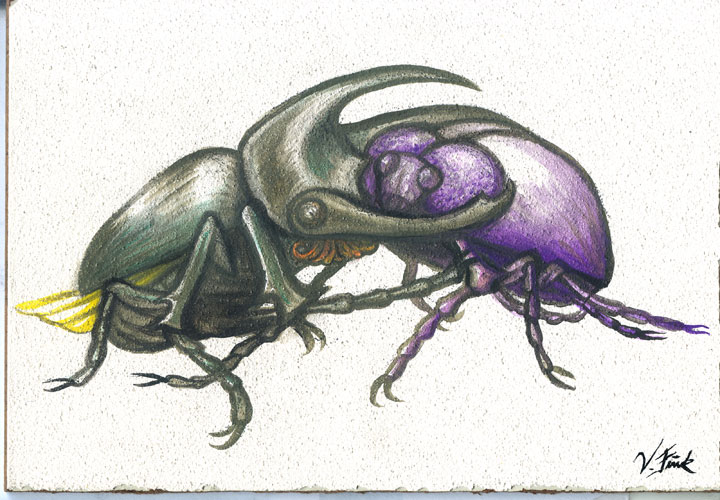 beetle-love