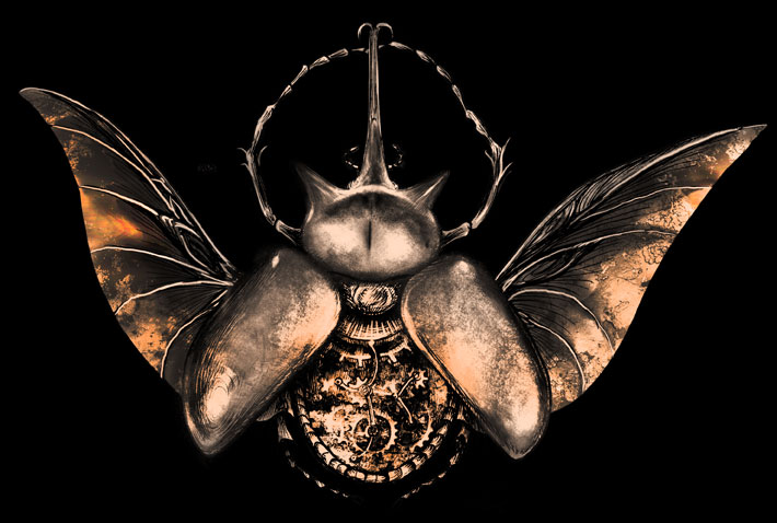 megasoma elephas