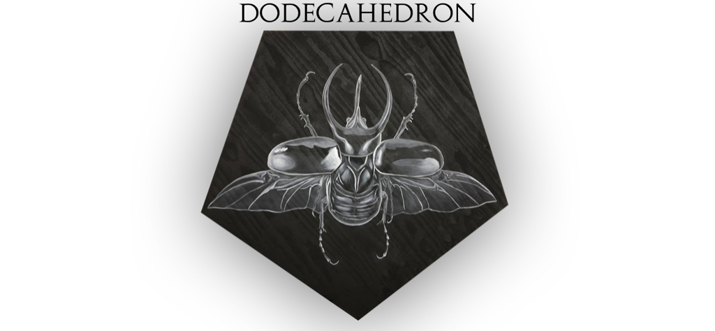 Dodecahedron Construction Ceremony - Vincent Fink
