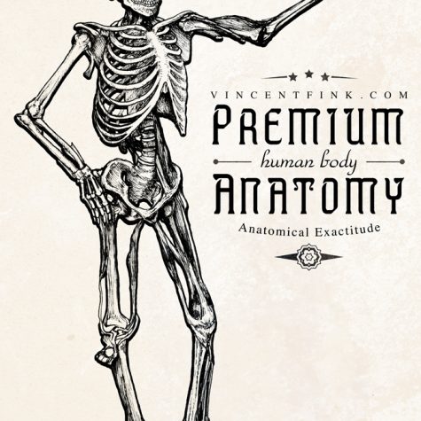 anatomy-ad