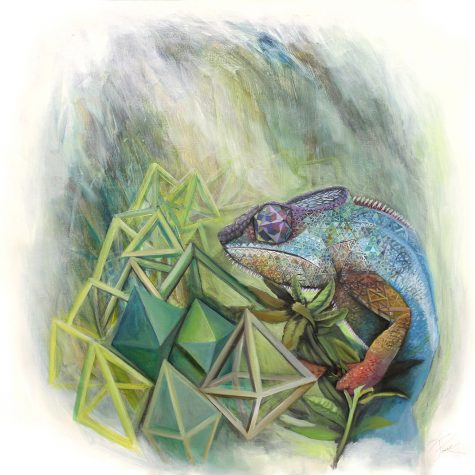 63: Chameleon Emerging from The Void