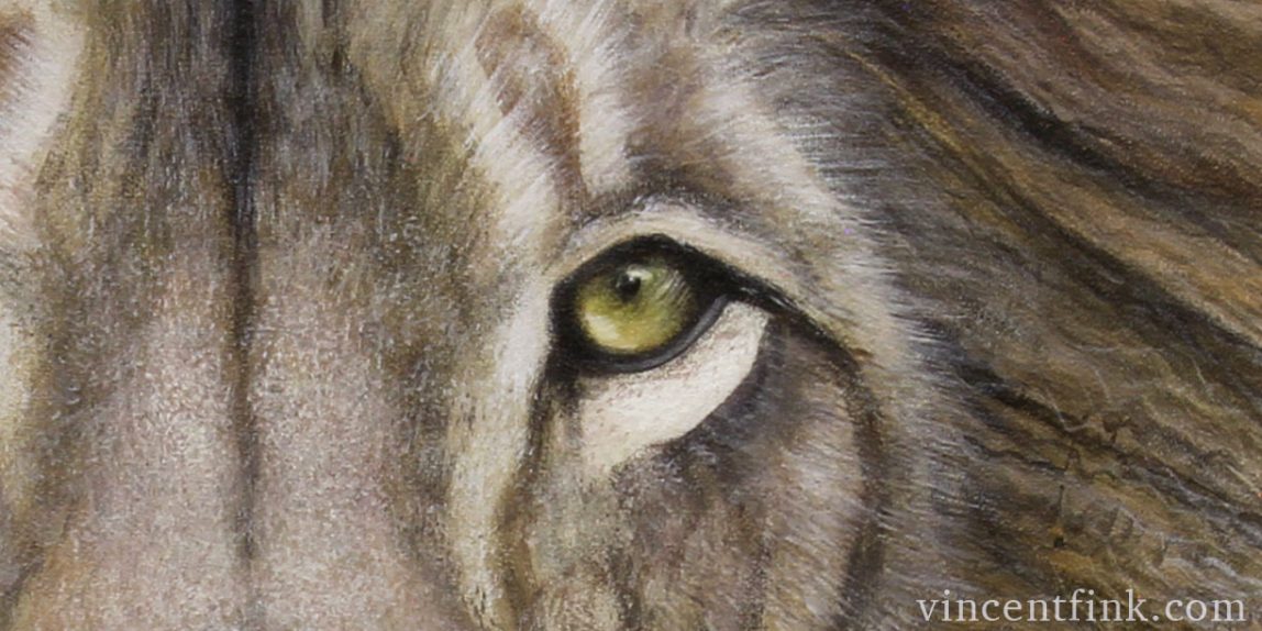 lion eyes painting drawing illustration photo realism