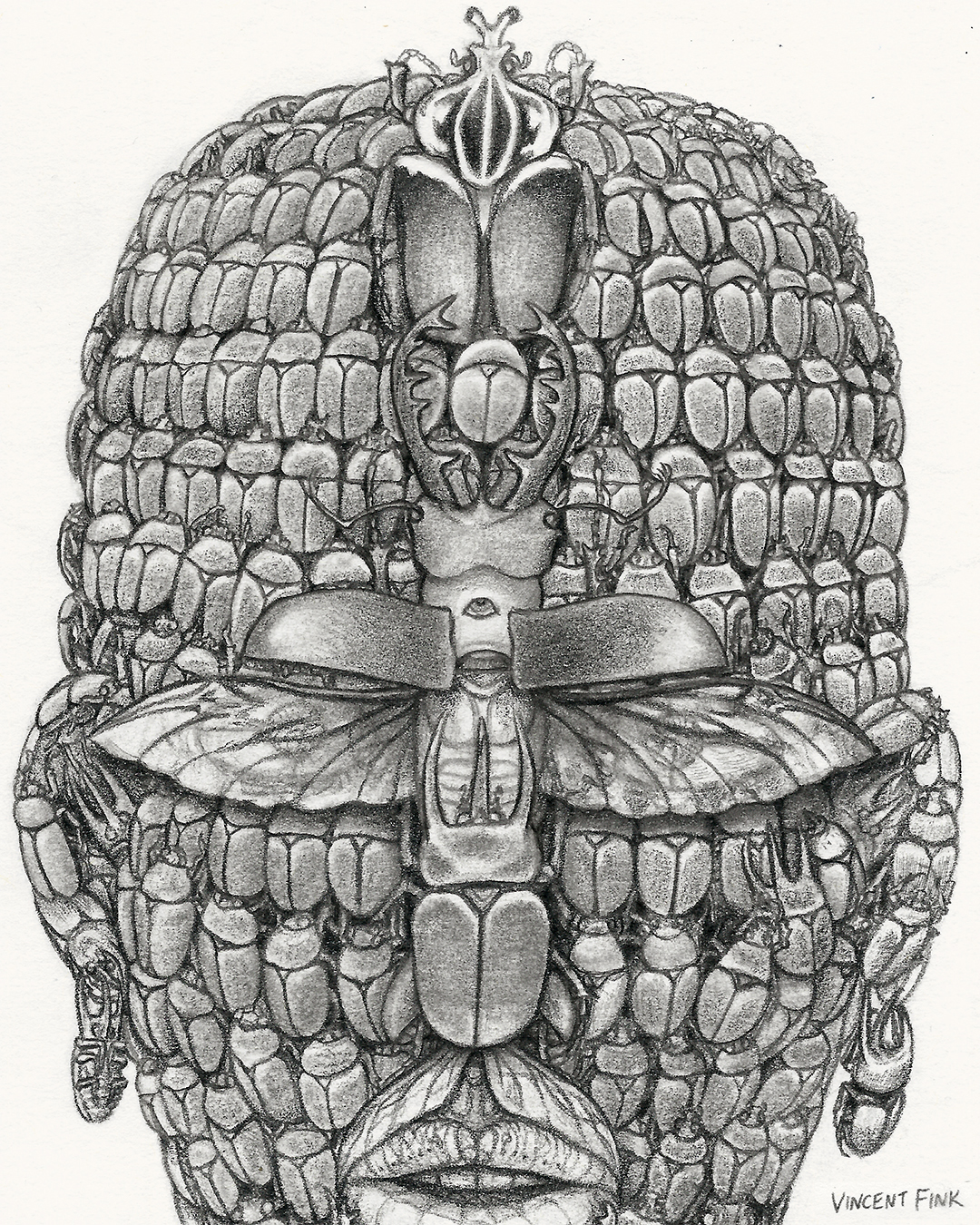 scarab beetles face, stag beetle, atlas beetle, rhino beetles, goliath beetle, art, drawing